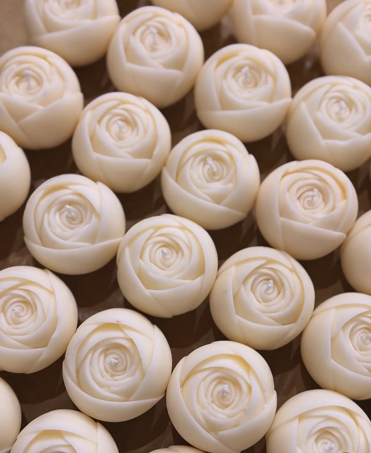 Rose Laurea