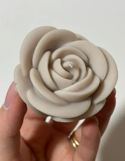 Rosa L