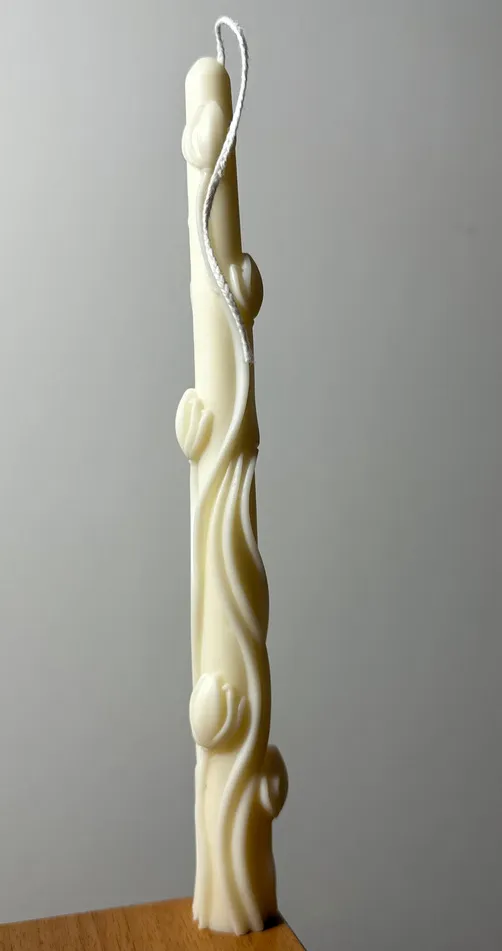 Tulipani